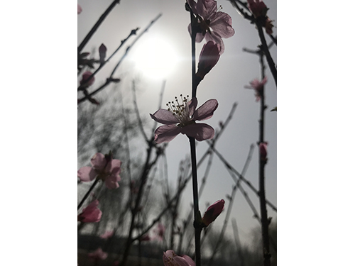 ���ݳ�ò